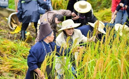 面对黄圣依的低情商言论,张馨予不仅没有生气,还大度化解尴尬